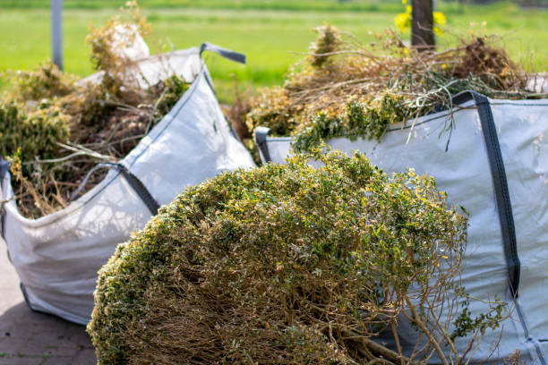 Property Management Cleanouts in Fredericksburg, IA